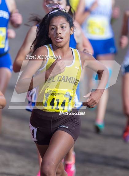 Thumbnail 2 in CIF State Cross Country Championships (Girls D1 Race) photogallery.