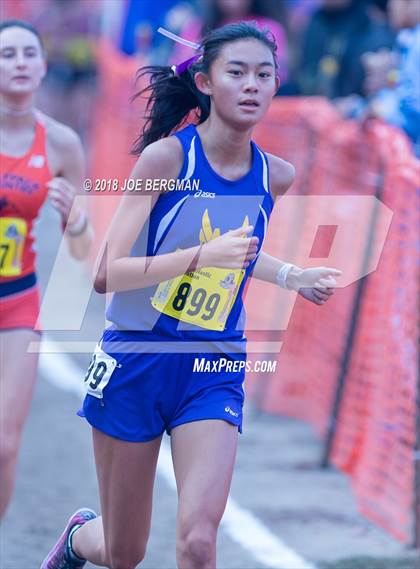 Thumbnail 2 in CIF State Cross Country Championships (Girls D1 Race) photogallery.