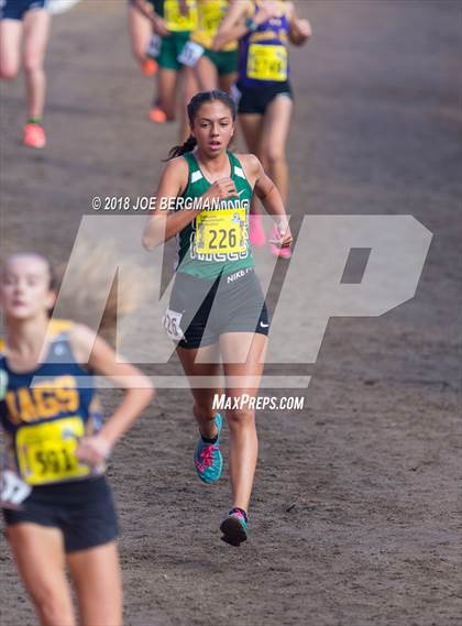 Thumbnail 2 in CIF State Cross Country Championships (Girls D1 Race) photogallery.