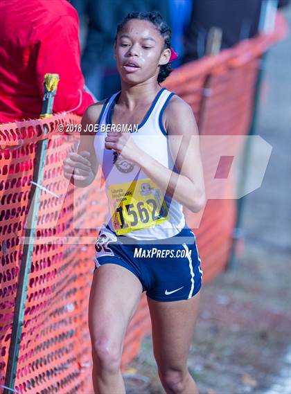 Thumbnail 2 in CIF State Cross Country Championships (Girls D1 Race) photogallery.