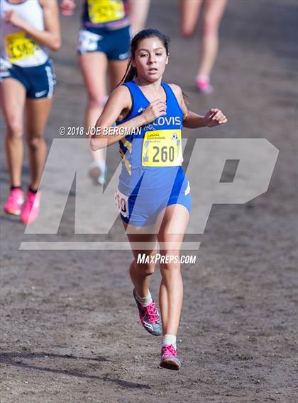 Thumbnail 1 in CIF State Cross Country Championships (Girls D1 Race) photogallery.