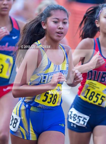Thumbnail 3 in CIF State Cross Country Championships (Girls D1 Race) photogallery.