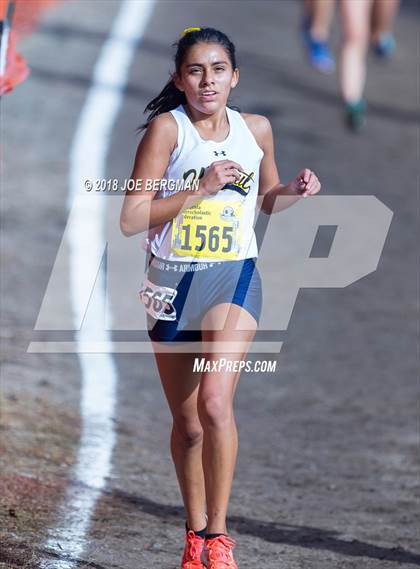 Thumbnail 1 in CIF State Cross Country Championships (Girls D1 Race) photogallery.