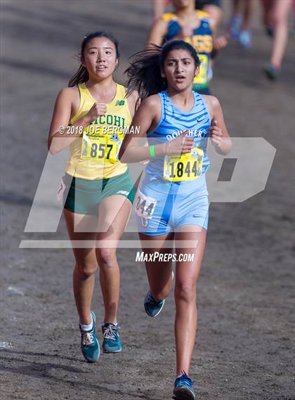 Thumbnail 1 in CIF State Cross Country Championships (Girls D1 Race) photogallery.