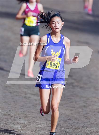 Thumbnail 2 in CIF State Cross Country Championships (Girls D1 Race) photogallery.