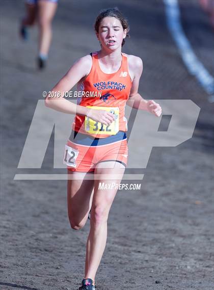 Thumbnail 3 in CIF State Cross Country Championships (Girls D1 Race) photogallery.