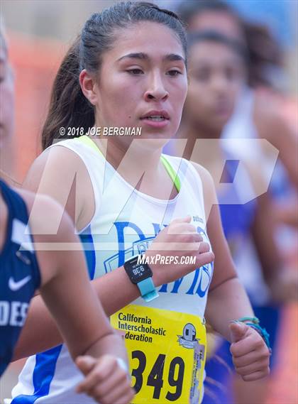Thumbnail 1 in CIF State Cross Country Championships (Girls D1 Race) photogallery.