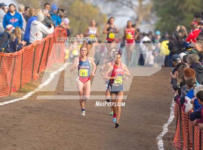 Thumbnail 3 in CIF State Cross Country Championships (Girls D1 Race) photogallery.