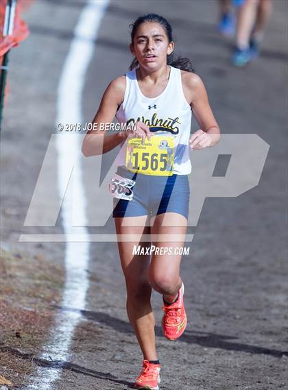 Thumbnail 3 in CIF State Cross Country Championships (Girls D1 Race) photogallery.