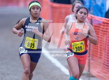 Thumbnail 2 in CIF State Cross Country Championships (Girls D1 Race) photogallery.