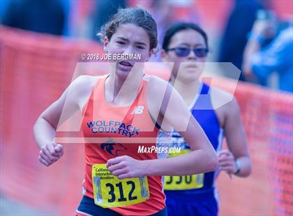 Thumbnail 3 in CIF State Cross Country Championships (Girls D1 Race) photogallery.