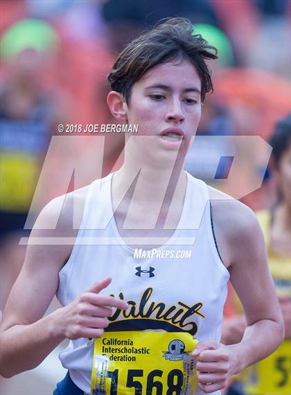 Thumbnail 3 in CIF State Cross Country Championships (Girls D1 Race) photogallery.