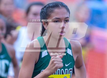 Thumbnail 3 in CIF State Cross Country Championships (Girls D1 Race) photogallery.