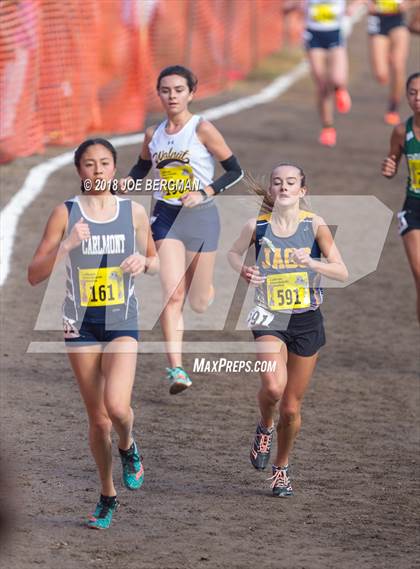 Thumbnail 2 in CIF State Cross Country Championships (Girls D1 Race) photogallery.