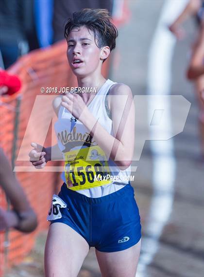 Thumbnail 1 in CIF State Cross Country Championships (Girls D1 Race) photogallery.