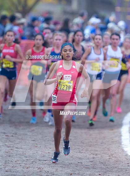 Thumbnail 3 in CIF State Cross Country Championships (Girls D1 Race) photogallery.