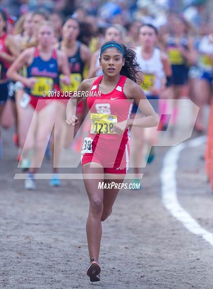 Thumbnail 2 in CIF State Cross Country Championships (Girls D1 Race) photogallery.