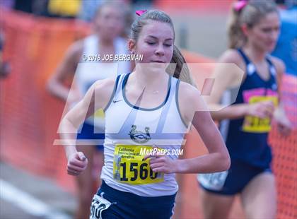 Thumbnail 2 in CIF State Cross Country Championships (Girls D1 Race) photogallery.