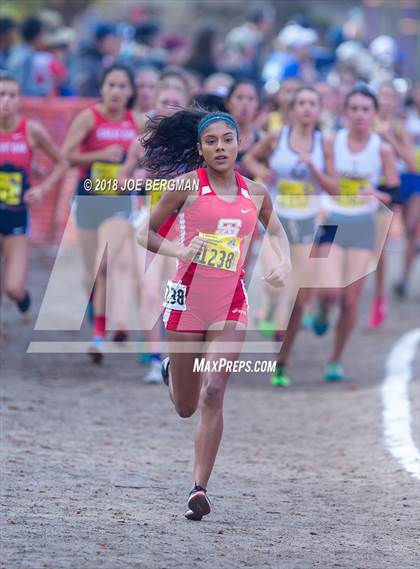 Thumbnail 1 in CIF State Cross Country Championships (Girls D1 Race) photogallery.