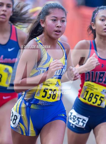 Thumbnail 2 in CIF State Cross Country Championships (Girls D1 Race) photogallery.