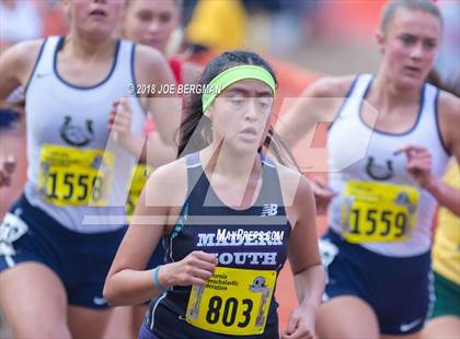 Thumbnail 3 in CIF State Cross Country Championships (Girls D1 Race) photogallery.