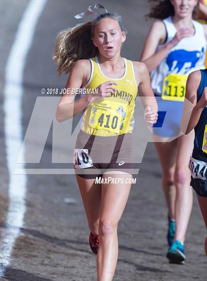 Thumbnail 1 in CIF State Cross Country Championships (Girls D1 Race) photogallery.