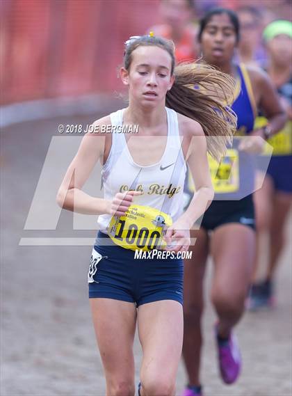 Thumbnail 2 in CIF State Cross Country Championships (Girls D1 Race) photogallery.