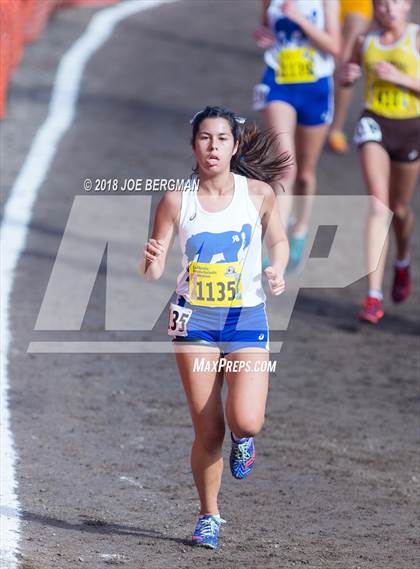 Thumbnail 2 in CIF State Cross Country Championships (Girls D1 Race) photogallery.