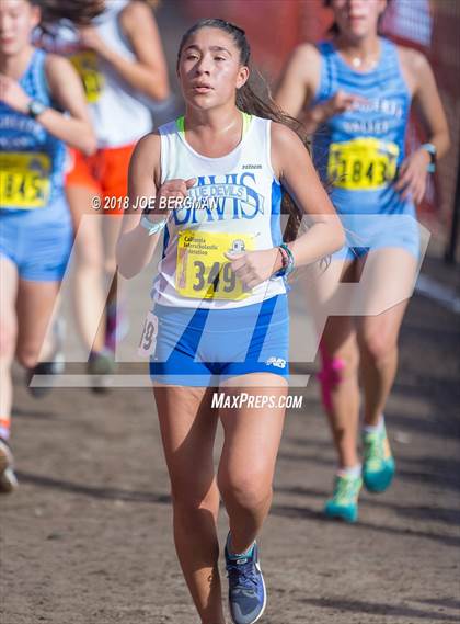 Thumbnail 2 in CIF State Cross Country Championships (Girls D1 Race) photogallery.