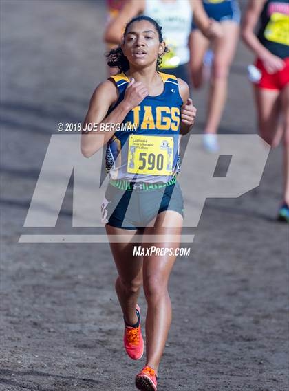 Thumbnail 1 in CIF State Cross Country Championships (Girls D1 Race) photogallery.