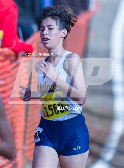 Thumbnail 2 in CIF State Cross Country Championships (Girls D1 Race) photogallery.