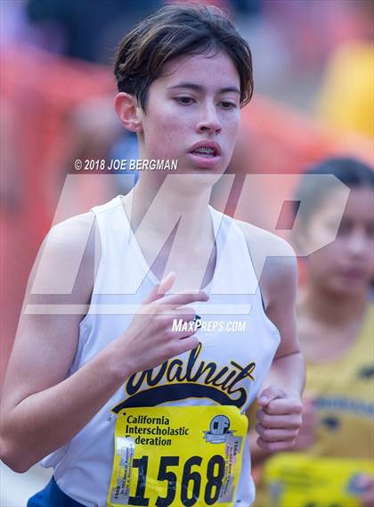 Thumbnail 1 in CIF State Cross Country Championships (Girls D1 Race) photogallery.