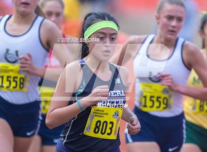 Thumbnail 1 in CIF State Cross Country Championships (Girls D1 Race) photogallery.