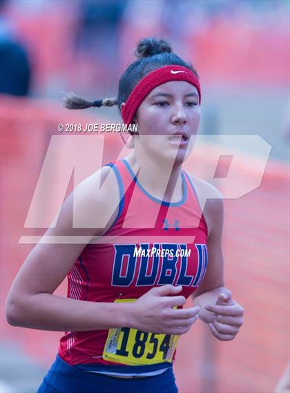 Thumbnail 1 in CIF State Cross Country Championships (Girls D1 Race) photogallery.