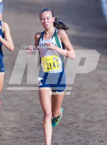 Thumbnail 2 in CIF State Cross Country Championships (Girls D1 Race) photogallery.