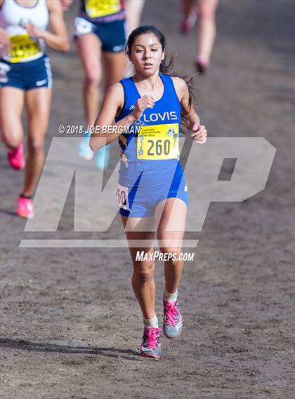 Thumbnail 3 in CIF State Cross Country Championships (Girls D1 Race) photogallery.