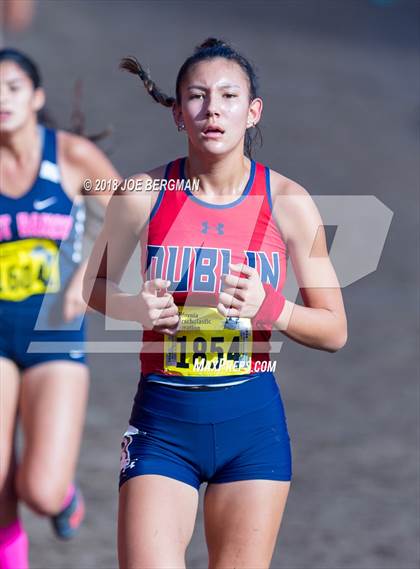 Thumbnail 3 in CIF State Cross Country Championships (Girls D1 Race) photogallery.