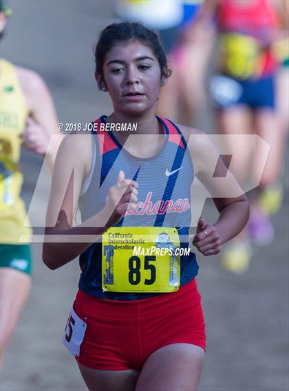 Thumbnail 1 in CIF State Cross Country Championships (Girls D1 Race) photogallery.