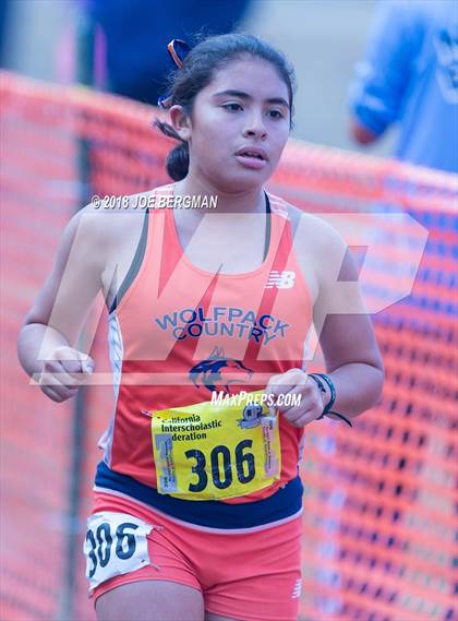Thumbnail 2 in CIF State Cross Country Championships (Girls D1 Race) photogallery.