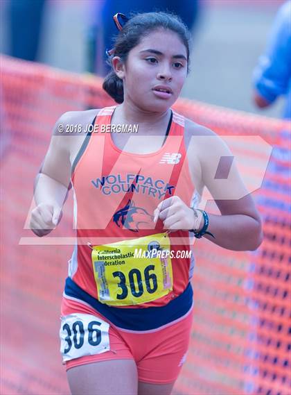Thumbnail 1 in CIF State Cross Country Championships (Girls D1 Race) photogallery.