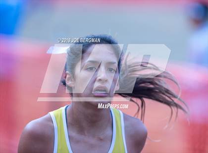Thumbnail 2 in CIF State Cross Country Championships (Girls D1 Race) photogallery.