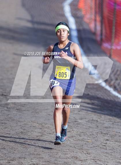 Thumbnail 2 in CIF State Cross Country Championships (Girls D1 Race) photogallery.