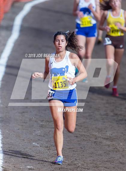 Thumbnail 1 in CIF State Cross Country Championships (Girls D1 Race) photogallery.