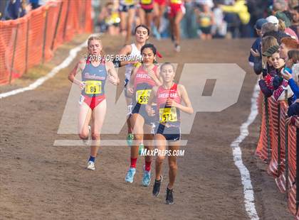 Thumbnail 1 in CIF State Cross Country Championships (Girls D1 Race) photogallery.