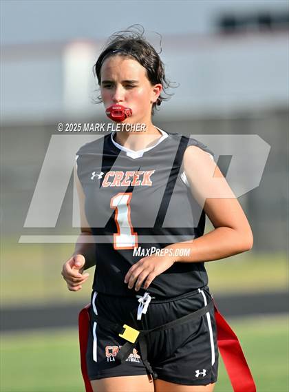 Thumbnail 3 in Pine Ridge @ Spruce Creek photogallery.