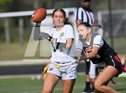 Thumbnail 2 in Pine Ridge @ Spruce Creek photogallery.