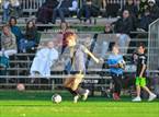 Photo from the gallery "Blessed Trinity @ Marist"