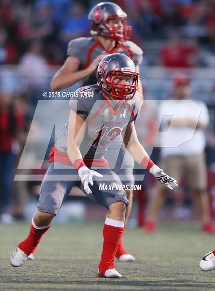 Thumbnail 3 in Hamilton @ Arbor View photogallery.