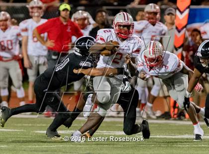 Thumbnail 3 in Judson @ Steele photogallery.