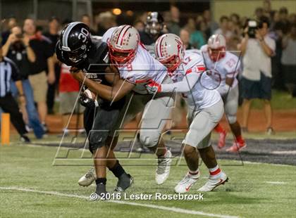 Thumbnail 3 in Judson @ Steele photogallery.